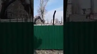 Падение  дерева рядом с воздушной линией 0,4кВ