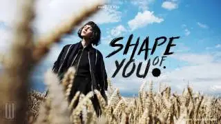 Ed Sheeran - Shape Of You (Rock Cover by Fame On Fire) [Lyrics]