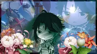 The 3AM Genshin Photographer and Rant