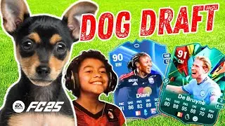 IL MIO CANE DECIDE la SQUADRA DRAFT e Ti REGALA una MAGLIA da CALCIO
