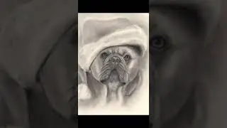#shorts Weihnachts-Bulldogge Making Of und Weihnachtskarte umsonst