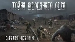 Mysterious Zone. Сталкер РП. Тайны железного леса. #mysteriouszone #рп #сталкер