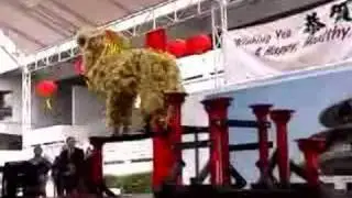 Lion Dance Team