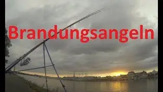 Brandungsangeln auf Dorsch & Plattfisch (Livebiss) - Travemünde / Priwall
