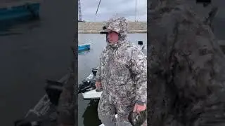 Стихийная реальность