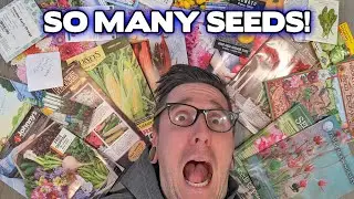 Where To Buy Your Seeds and How to Organize Them!