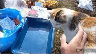Весенние хлопоты и конечно новинки!!!