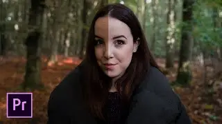 How To Color Correct Like A PRO! | Learn Premiere Pro 2021 in 10 minutes