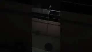 Möpschen bei Regen, Blitz und Donner auf dem Balkon