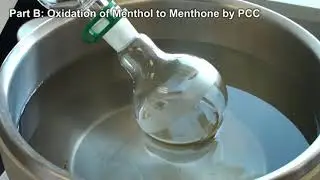 CHEM 3810 Org Lab II - Expt 6 (2020-2021)