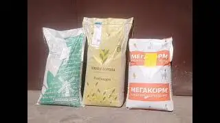Будем тестировать комбикорм для бройлеров.