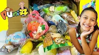 We Got 100 PUNI MARU AND CREAMIICANDY Squishies + Giveaway