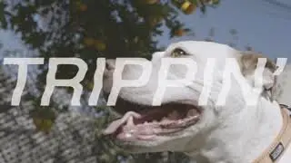 Private Island - Trippin' (Official Video)