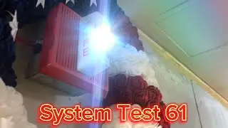 Fire Alarm System Test 61: Wheelock MTs! (featuring @firesecalert)