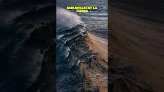 Maravillas De La Tierra #shortsvideo