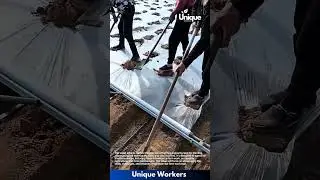 Farm work for beginners: a simple guide to land preparation