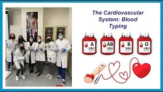 Blood Typing