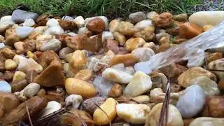 iPhone 6s Slow Mo Video Sample