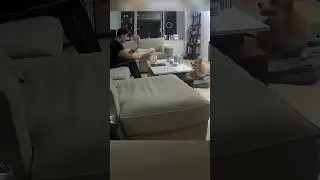댕댕이가 허공으로 물건을 던지는 이유 🐾👀 #shorts #댕댕이 #강아지 #pets #cute #animals #dog