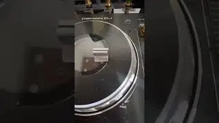 DENON PRIME 4 GOLD & CHROME CHROMA CAPS