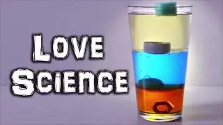 How do Plants Absorb Water?