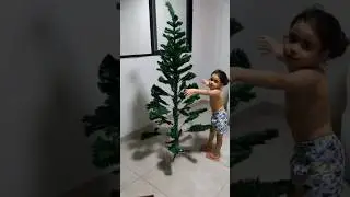 Parte 2 - Montando a árvore de natal #árvoredenatal