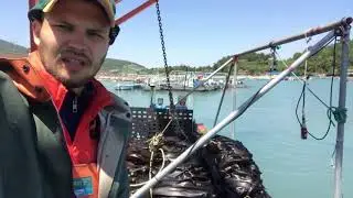 После выхода в море за ташимой