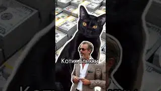 Три самых богатых котов в мире. 