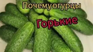 Почему огурцы горькие ?🥒🥒🥒