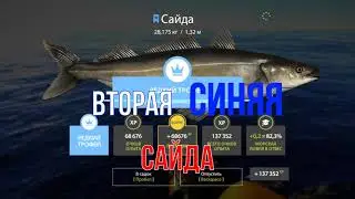 Вторая 