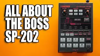 Boss SP-202: Complete Guide to a Unique Hardware Sampler