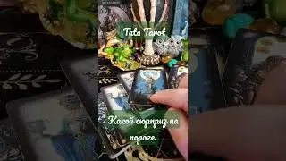 Какой сюрприз на пороге 💫 