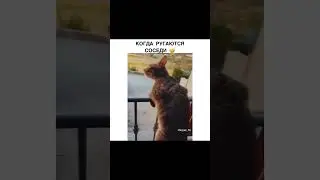 У меня жена так бежит😁
