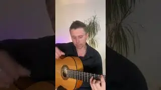 Taranta Flamenco Falseta