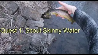 Exploring Spring Creek - Houserville Fishing