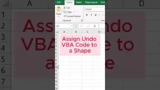Excel VBA - Assign Undo VBA Code to a Shape