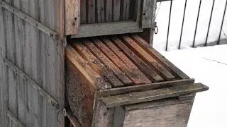 Old cassette hive-standing. Cassette pavilions.