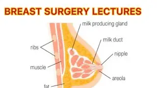 BREAST SURGERY LECTURE part 3, INVESTIGATIONS OF BREAST , 