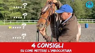 4 consigli su come mettere l'imboccatura (anche a cavalli difficili)