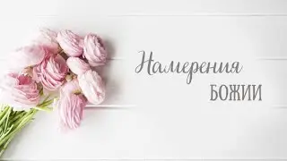 Денисова Наталья. НАМЕРЕНИЯ БОЖИИ. Прямой эфир от  3 февраля 2020