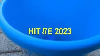 HIT DELL'ESTATE 2023 - Alessandra e Massimiliano Lussana (official video)