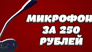 Купил микрофон за 250 рублей.