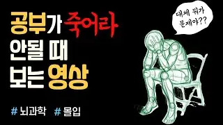 공부에 지친 당신이 꼭 봐야할 영상 ㅣ 몰입, 당신의 공부는 틀리지 않았다
