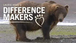 S1 Ep1:  Buck Wilde and Esther Gossweiler — Filming Alaskan Sea Wolves in Brown Bear Country