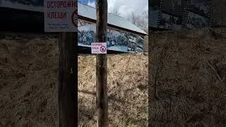 Порог подъема на смотровую площадку в Горно-Алтайске #shorts
