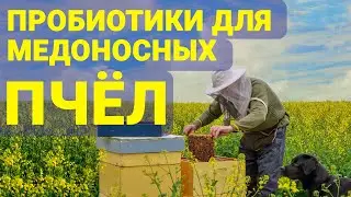 Вебинар для пчеловодов в преддверии сезона 2022