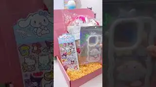 Sanrio Package 😍😍#sanrio