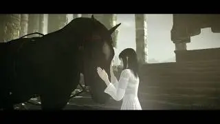Tribute to Agro