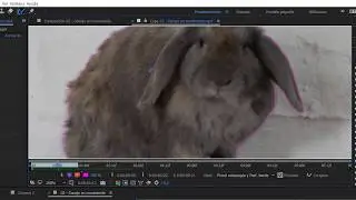 07.02 Herramienta Pincel de Rotoscopia y Herramienta Perfeccionar Borde