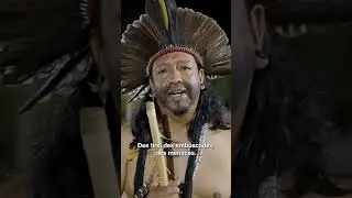 Des communautés menacées par la déforestation témoignent. 